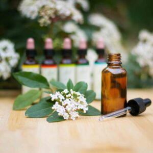 Bach Flower Remedies – Complete Course in Marathi